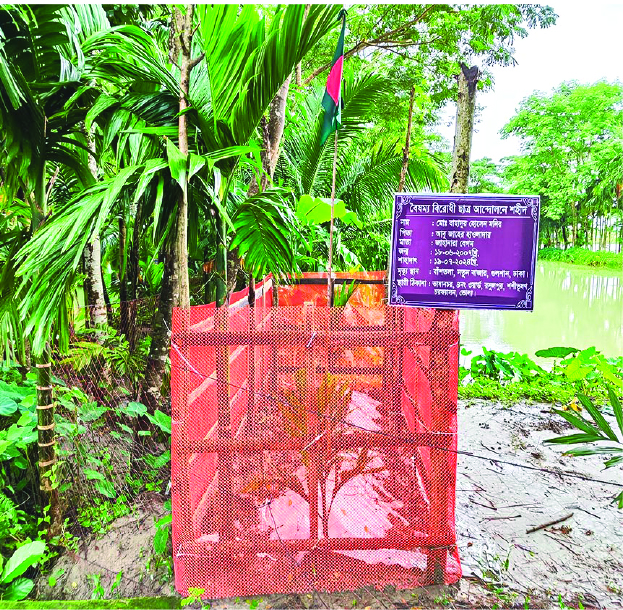 Image of মো: বাহাদুর হোসেন মনির